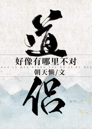 道侣好像有哪里不对封面