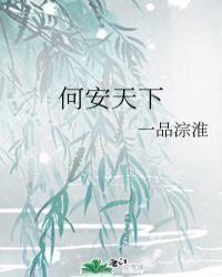 何安天下封面