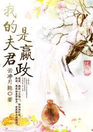 我的夫君是嬴政封面