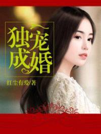 独宠成婚封面