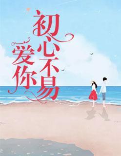 爱你初心不易封面