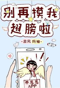 别再摸我翅膀啦封面