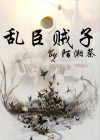乱臣贼子封面