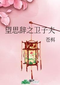 望思辞之卫子夫封面