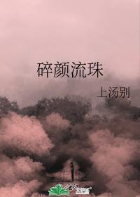 碎颜流珠封面