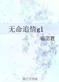 无命追情gl封面