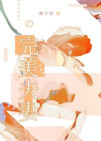 完美夫妻封面