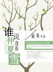 厉氏第一夫人封面