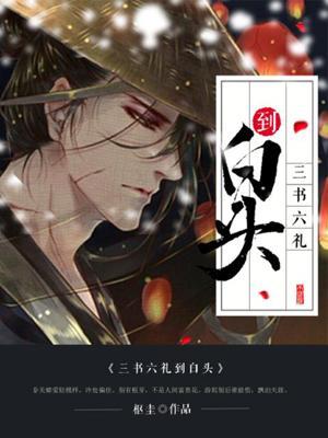 三书六礼到白头封面