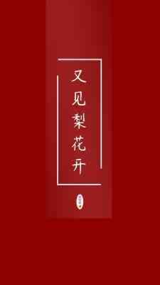 又见梨花开封面
