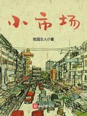 小市场封面