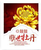 孽世牡丹封面