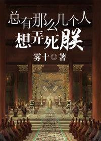 总有那么几个人想弄死朕封面