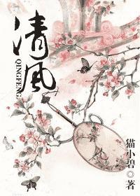 清风(清穿)封面