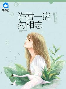 许君一诺勿相忘许一诺时生封面