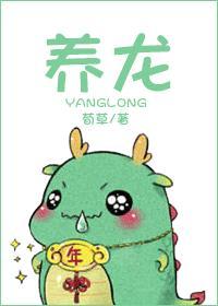 养龙封面