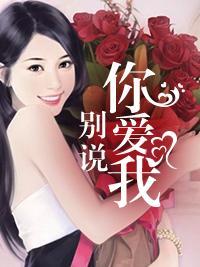 别说你爱我封面