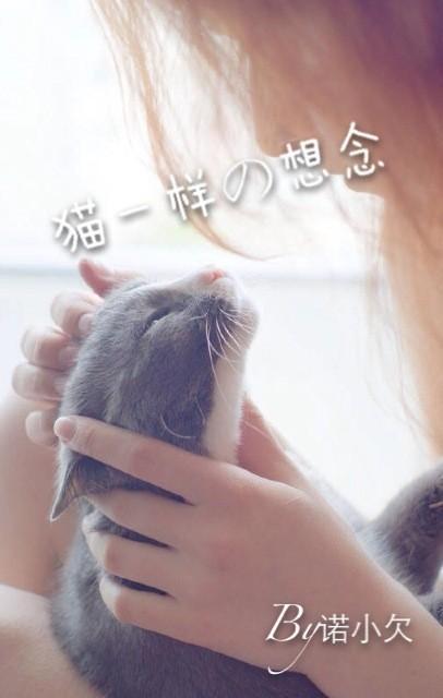 猫一样的想念封面