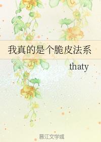 我真的是个脆皮法系封面
