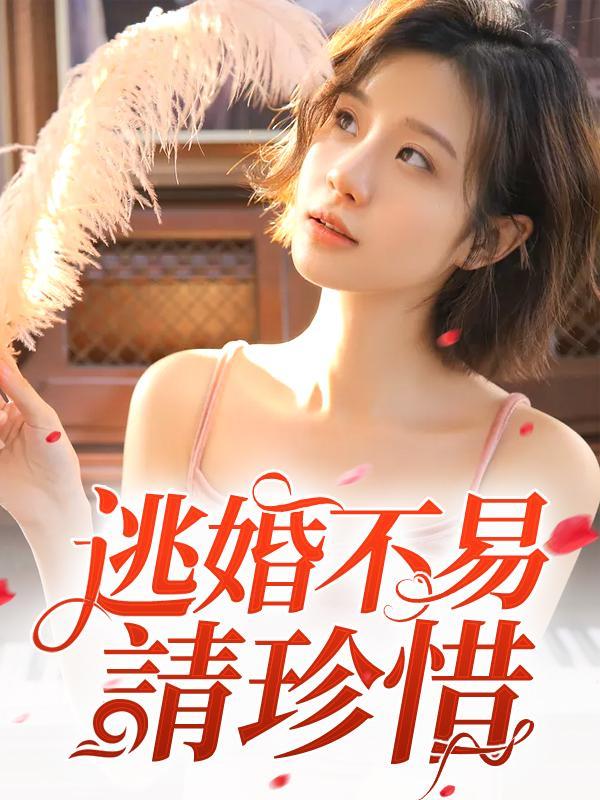 逃婚不易,请珍惜封面