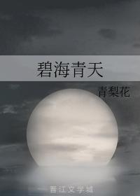 碧海青天封面