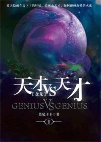 [盘龙]天才VS天才封面