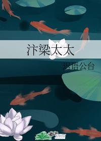 汴梁太太封面