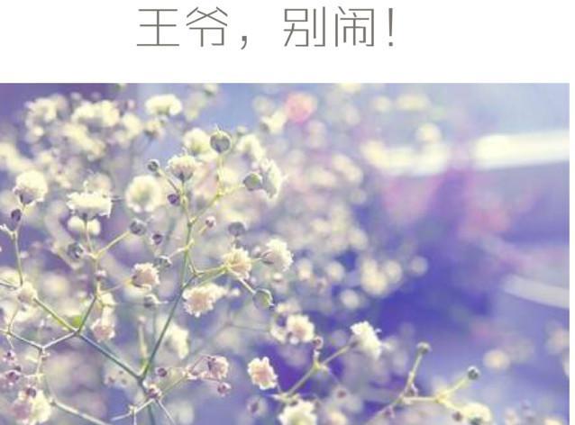 王爷 ，别闹！封面