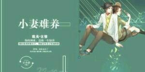 小妻难养封面