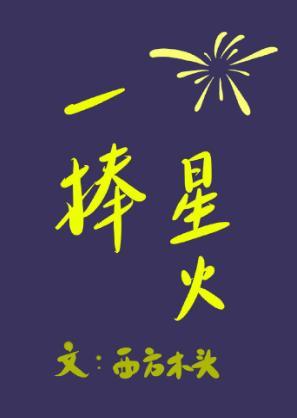 一捧星火封面
