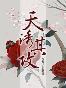 天诱其攻封面