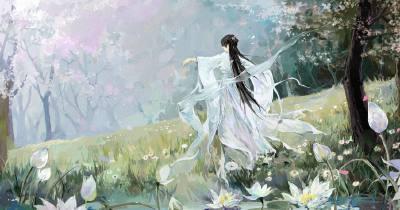 雨碎南风封面