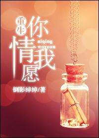 重生你情我愿封面