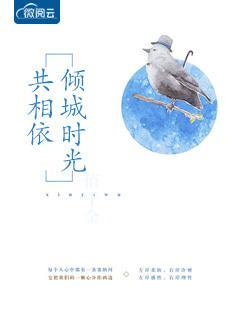 倾城时光共相依封面