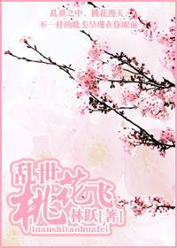 乱世风雨情封面