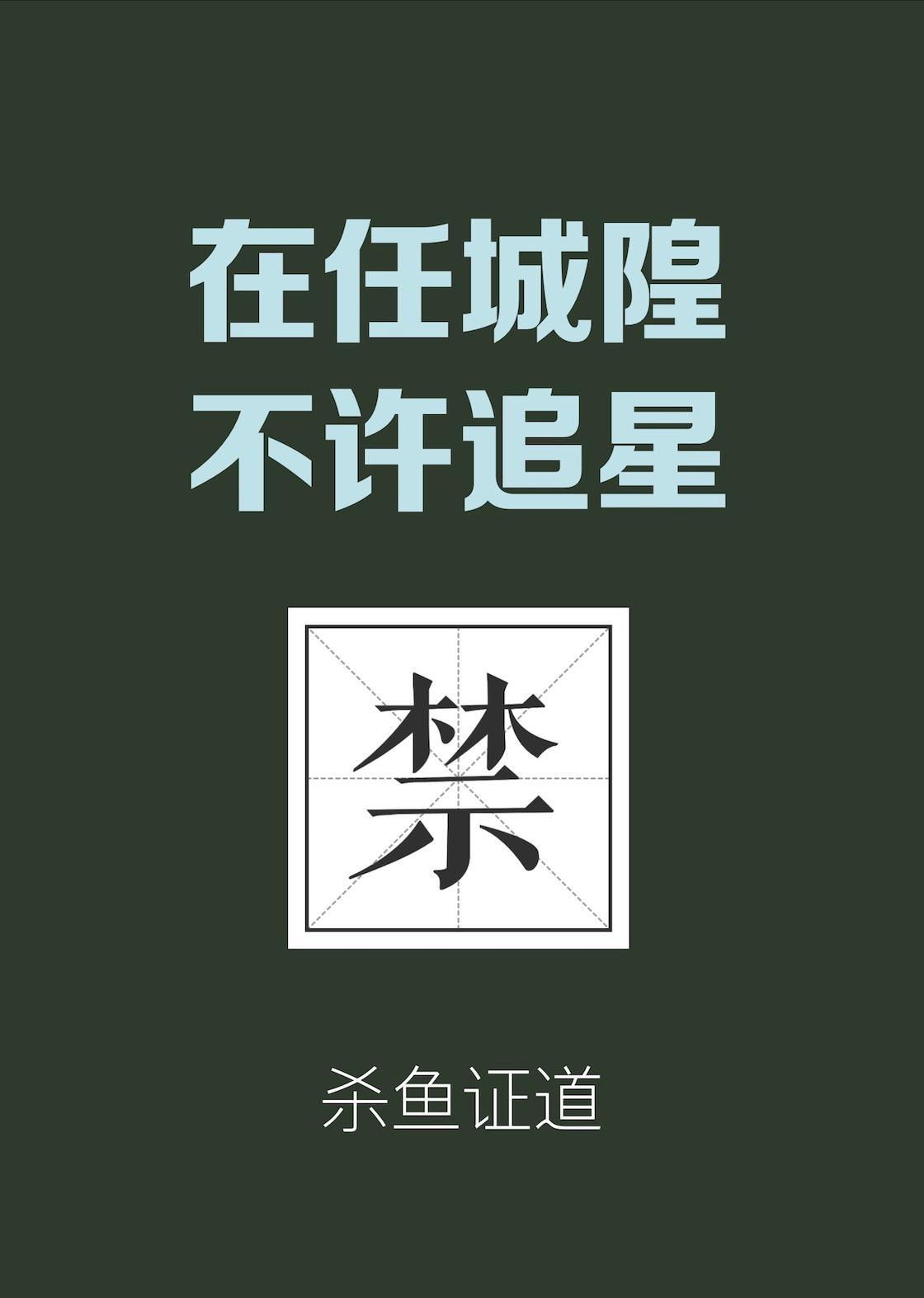 在城隍庙不许追星封面