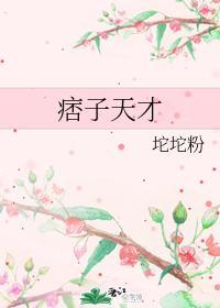 痞子天才封面