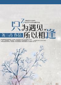 只为遇见,所以相逢封面
