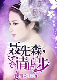 聂先森,请止步封面