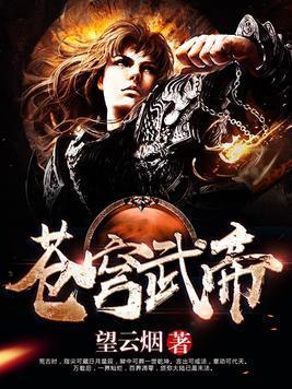 苍穹武帝封面