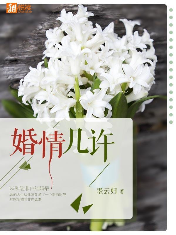 婚情几许封面
