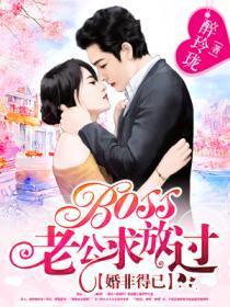 婚非得已:BOSS老公求放过.封面