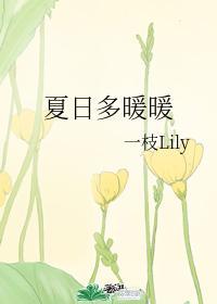 夏日多暖暖封面