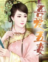 吾爱五妻封面