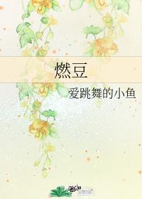 燃豆封面