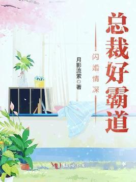 闪婚情深,总裁好霸道封面