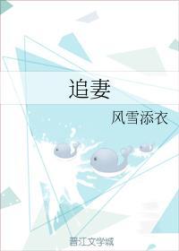 追妻封面