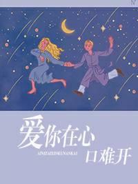 爱你在心口难开封面