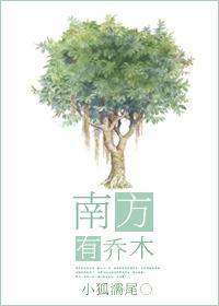 南方有乔木封面