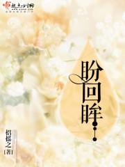 盼回眸封面